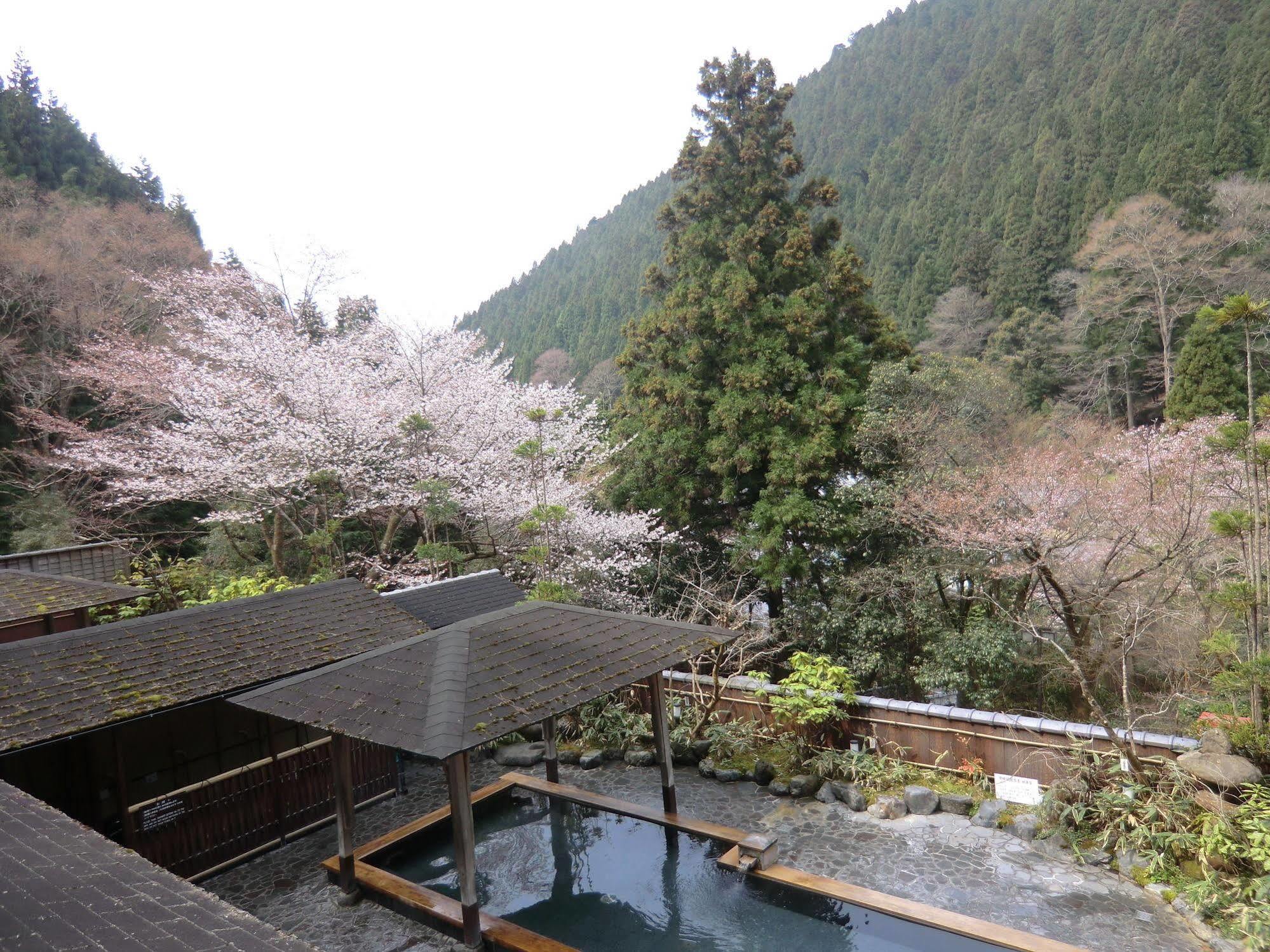 Ryokan Kurama Onsen