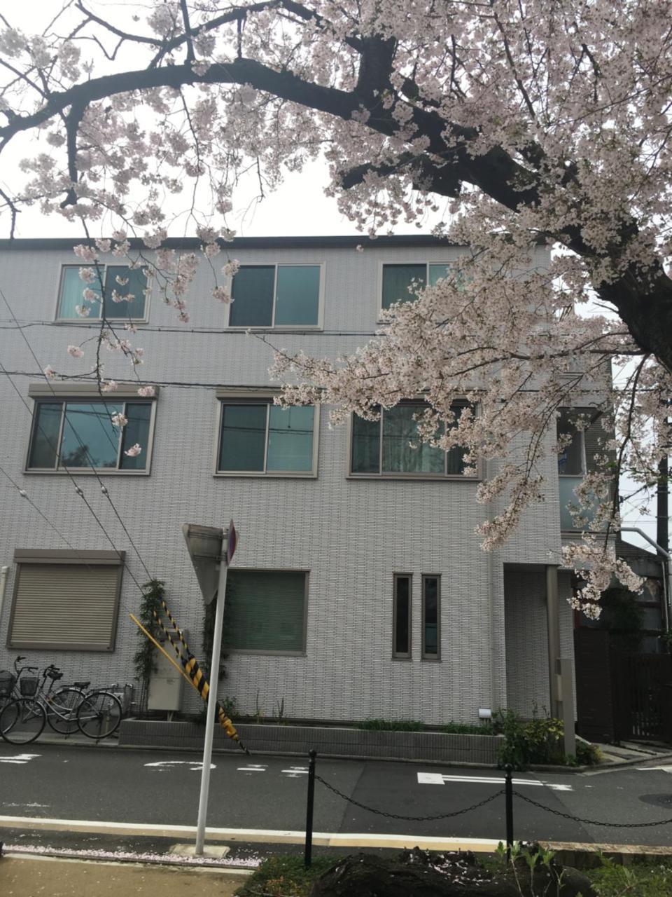 Lanlan Apartment *