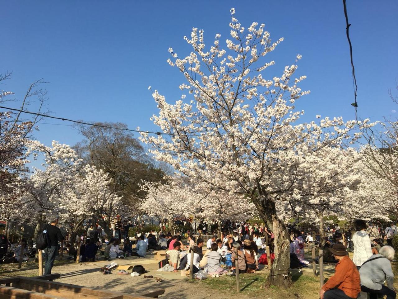 美築八坂
