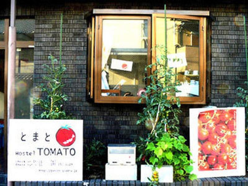 Tomato Guest house