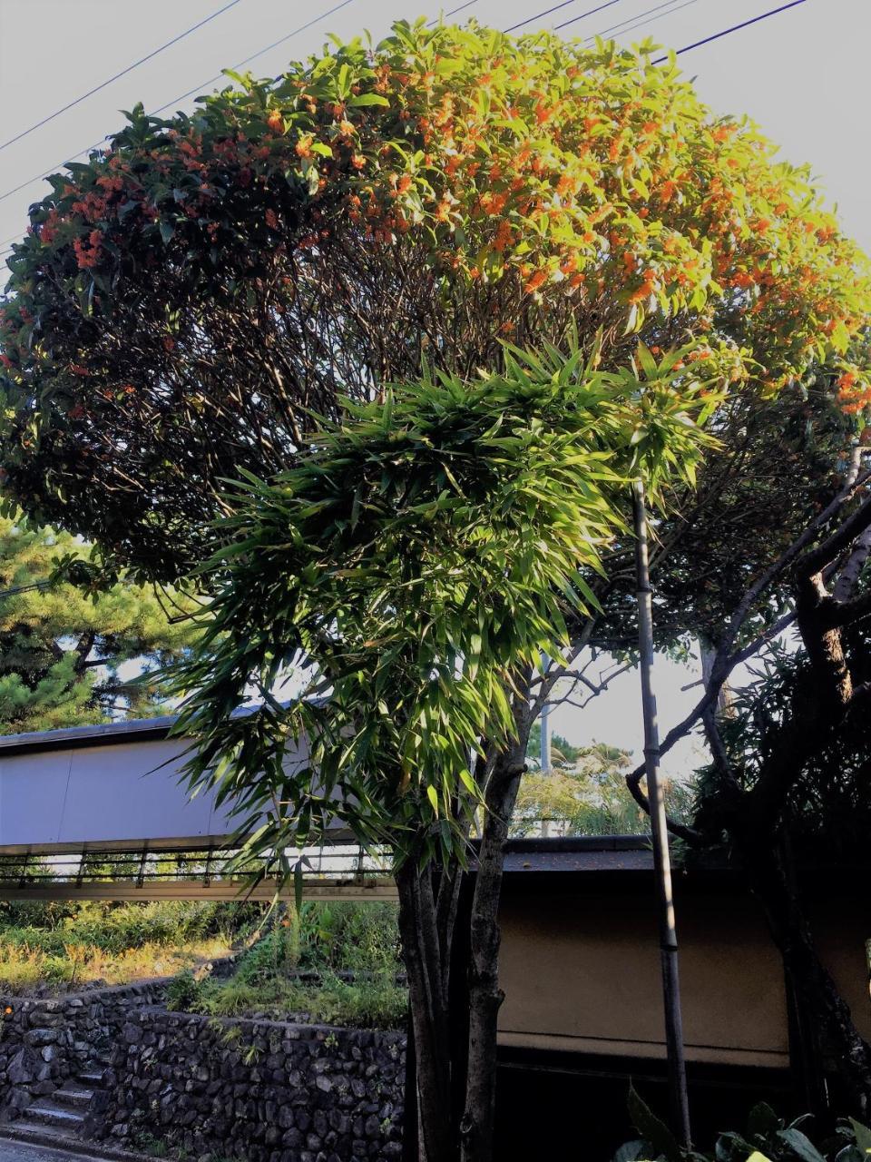 京苑 Kyoen 京町家
