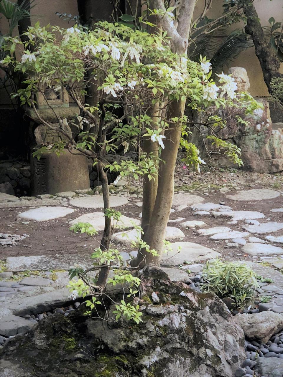京苑 Kyoen 京町家 * Kyoto