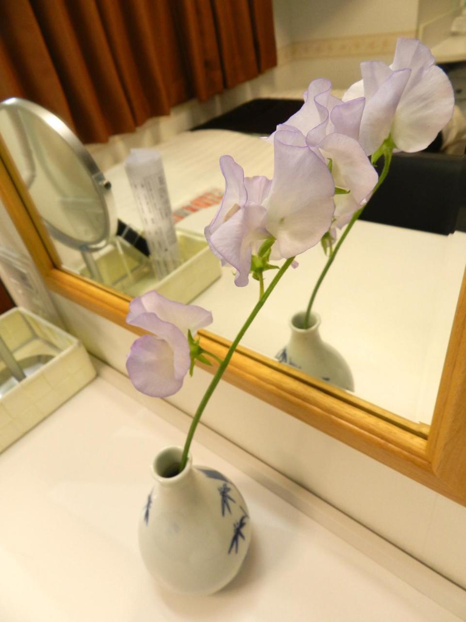 Check In Shijokarasuma 3* Kyoto