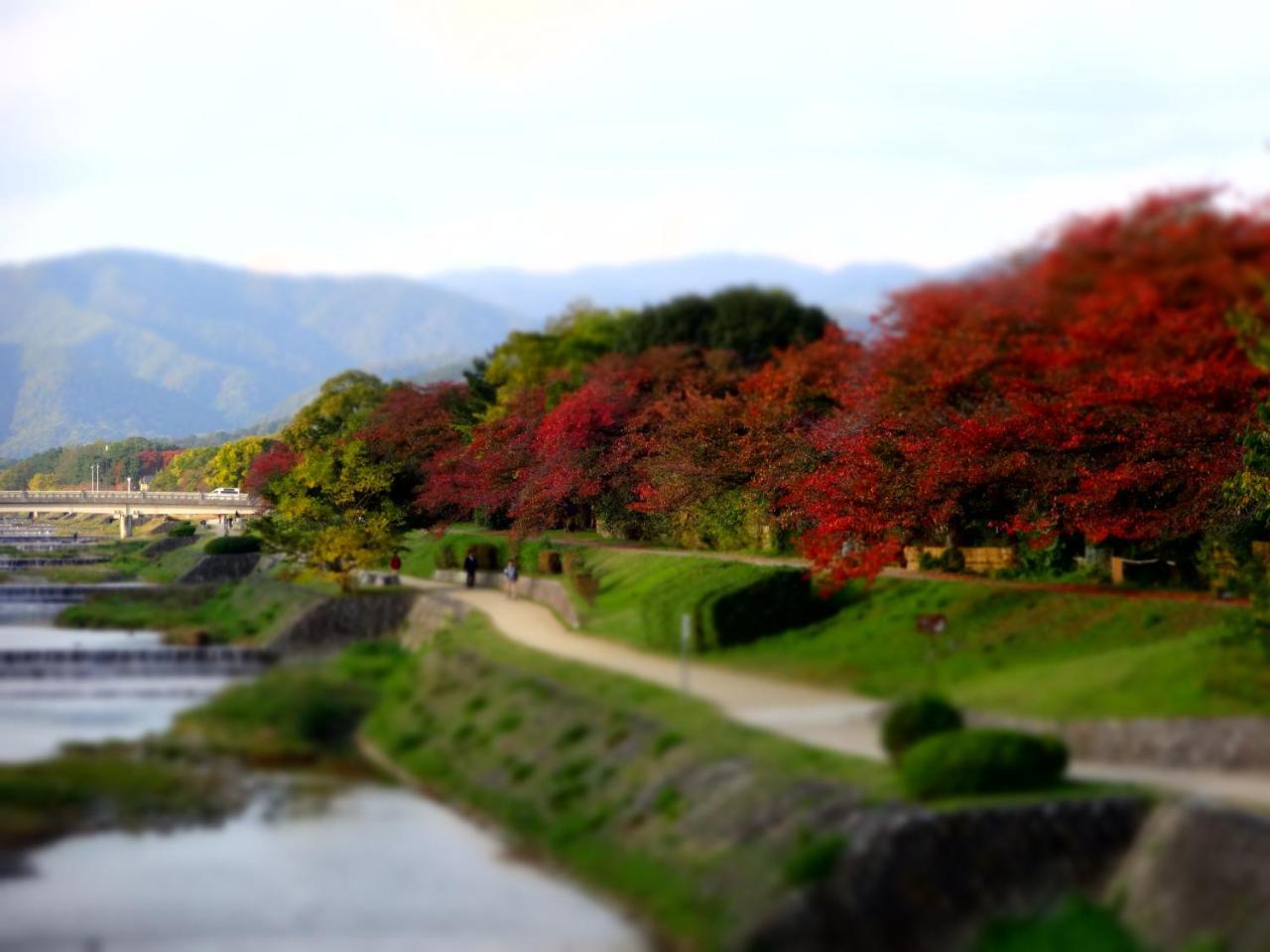 Diamond Society Hotel Kyoto