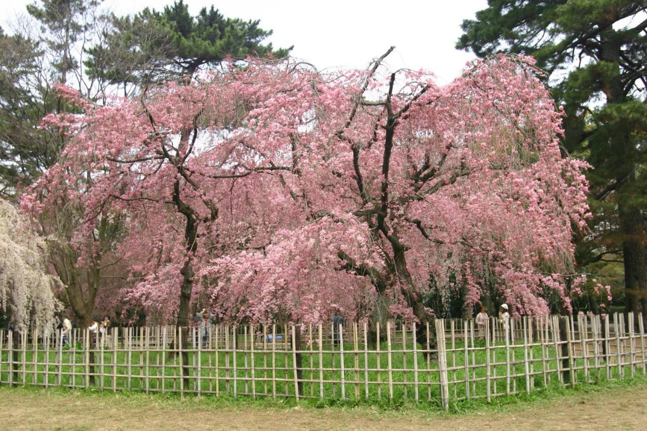 Rejoice Karasuma Oike Kyoto
