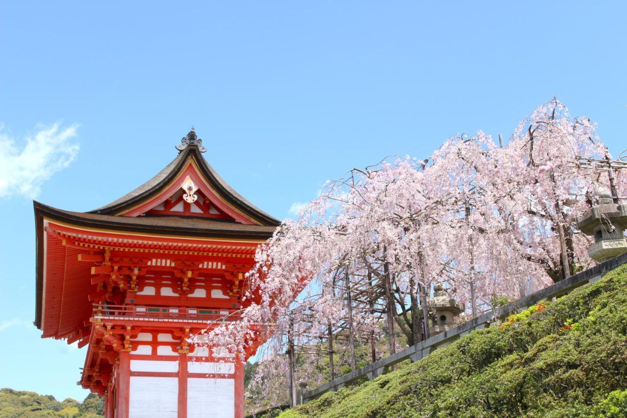 Rejoice Nijojo Minami Kyoto