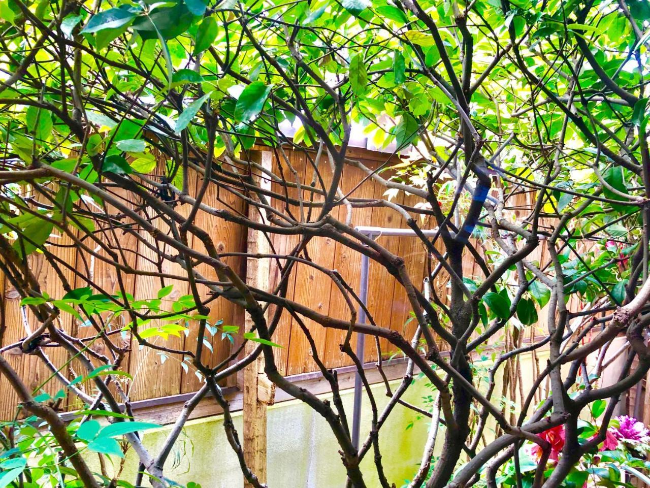 Holiday park 京苑 Kyoen 京町家 *