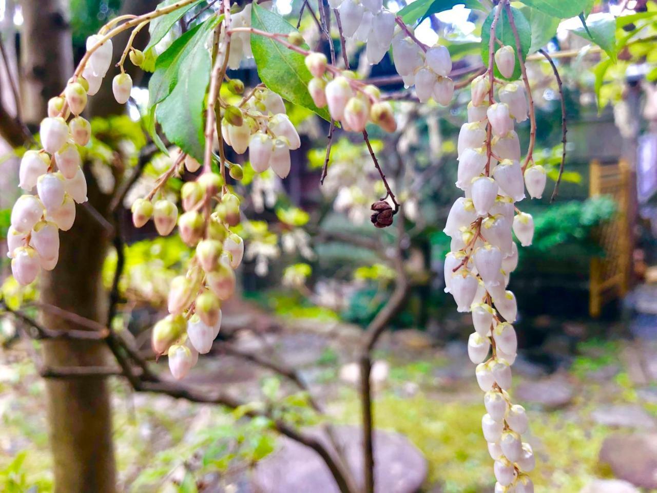 Holiday park 京苑 Kyoen 京町家 *