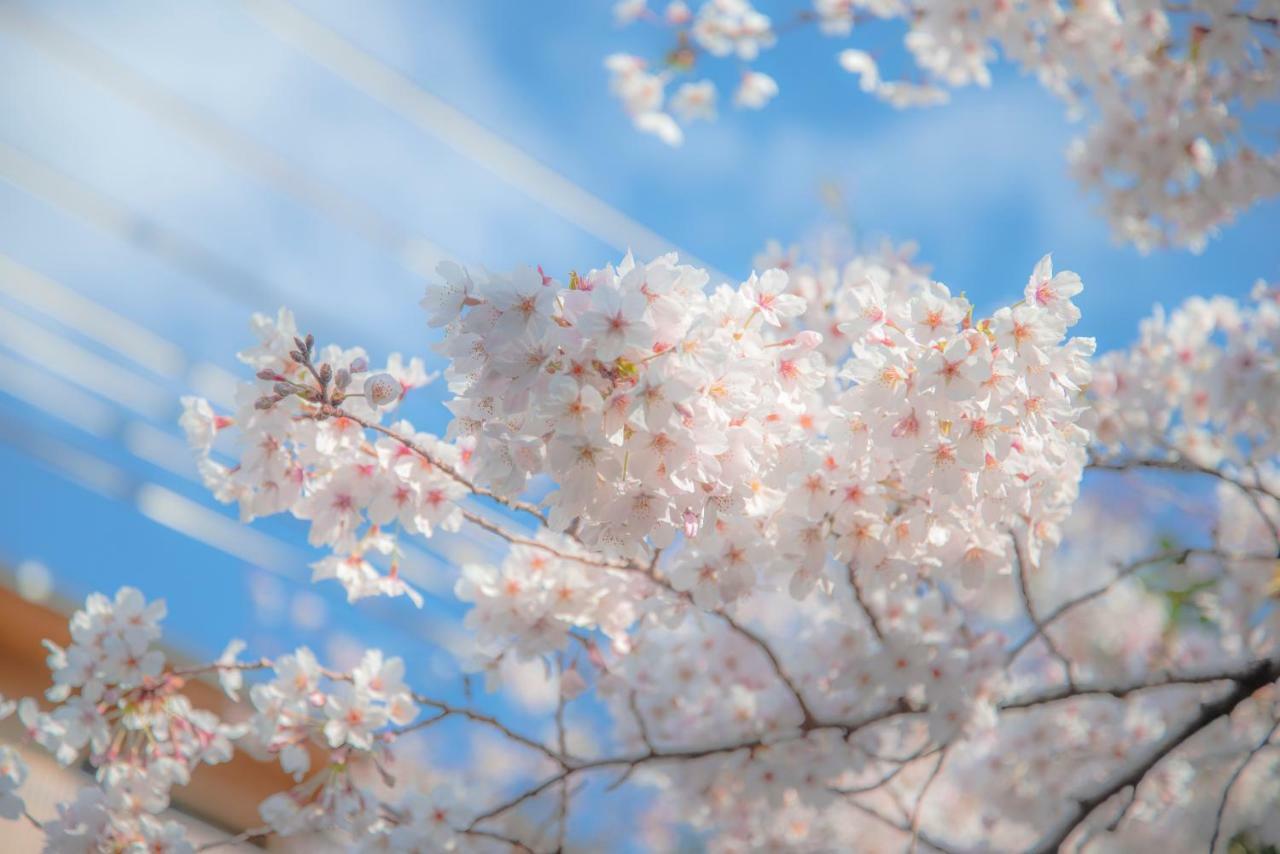 Takasegawa Bettei 3* Kyoto