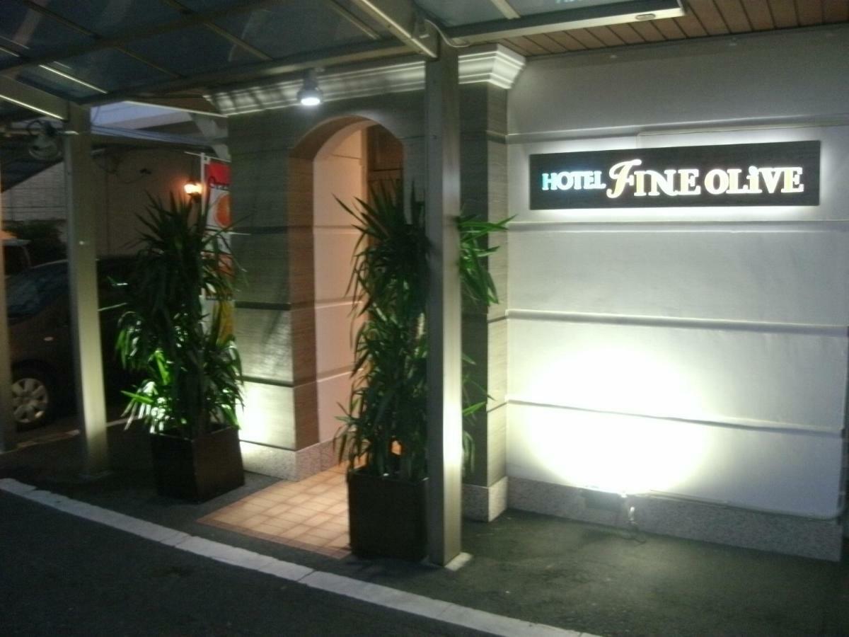 Fine Olive Yamashina (adults Only)