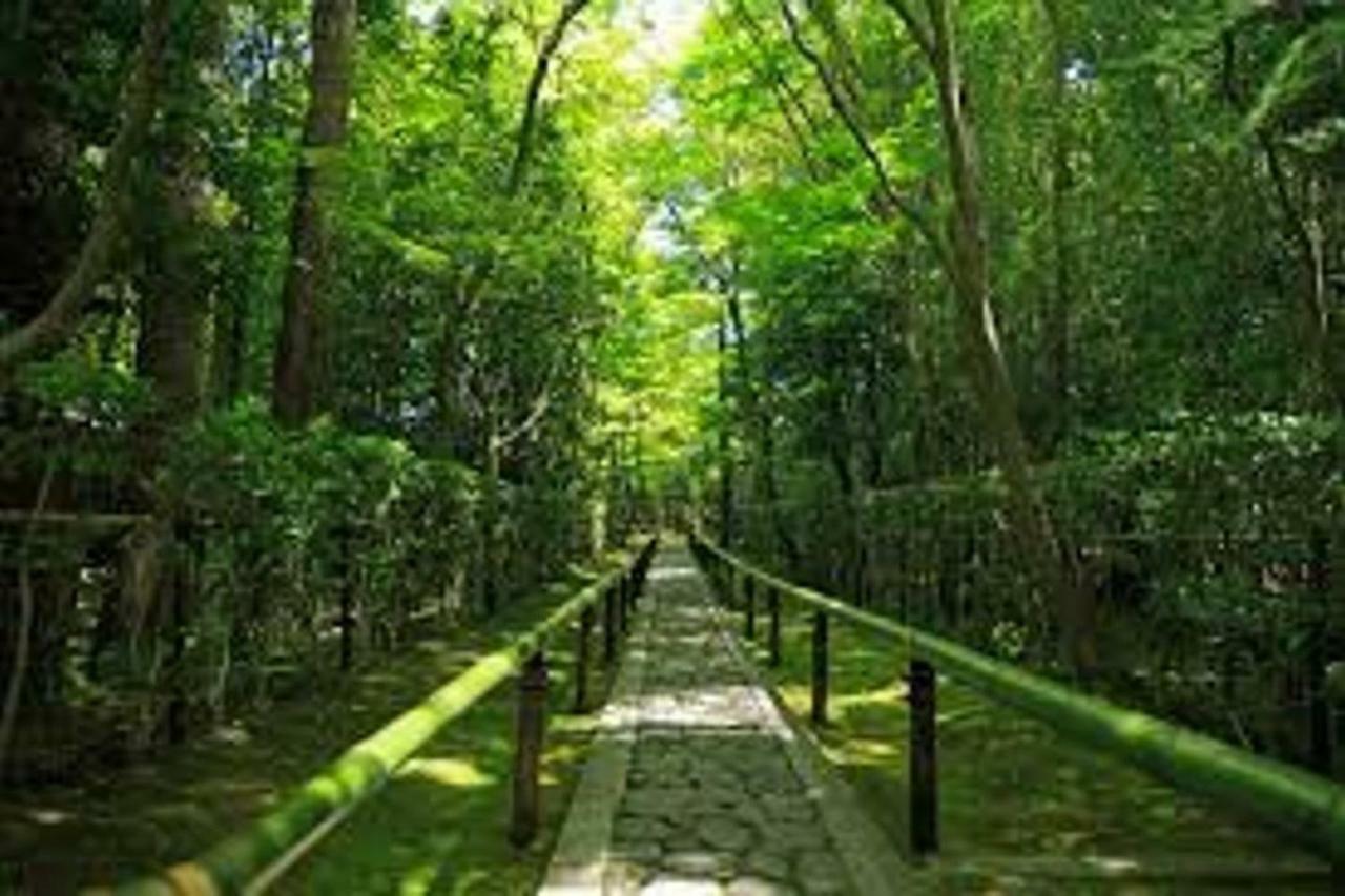Close To Golden Temple -kinkakuji- Apartment *