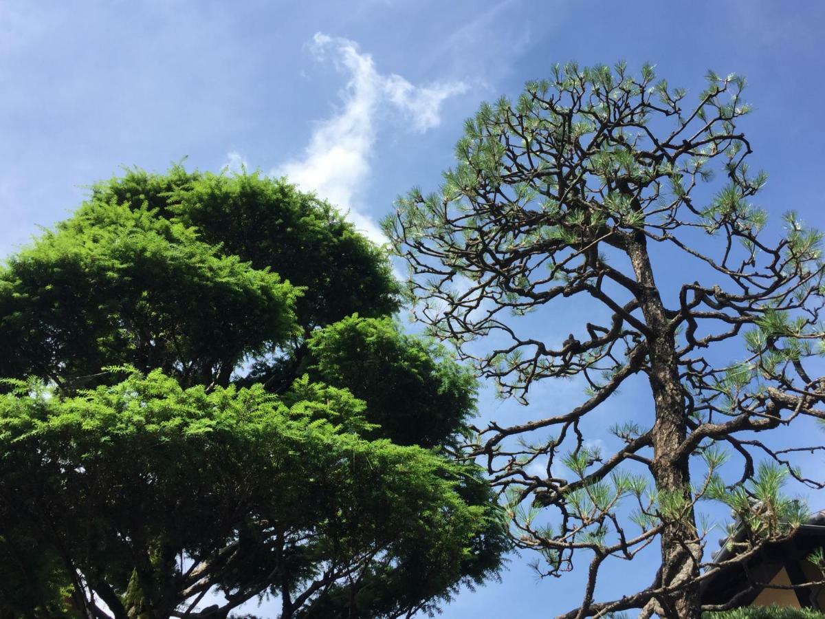 京苑 Kyoen 京町家 * Kyoto