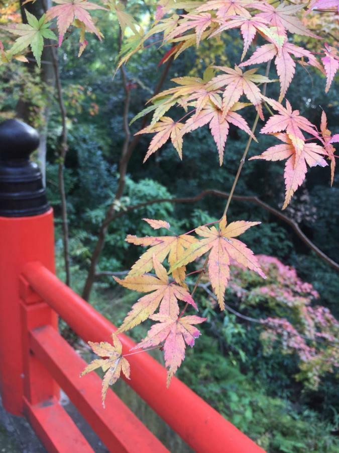 Kyo-anthu Guest house Kyoto