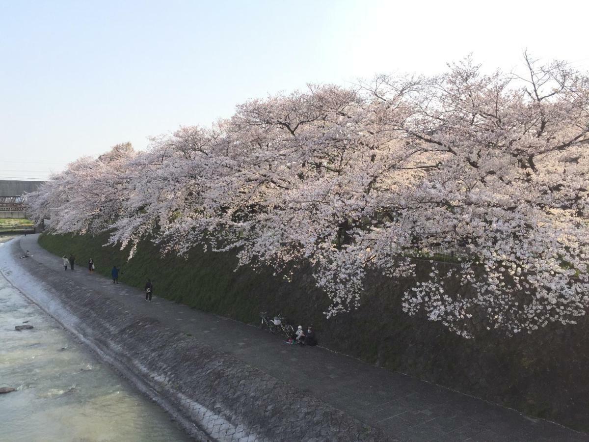 Kyo-anthu Kyoto