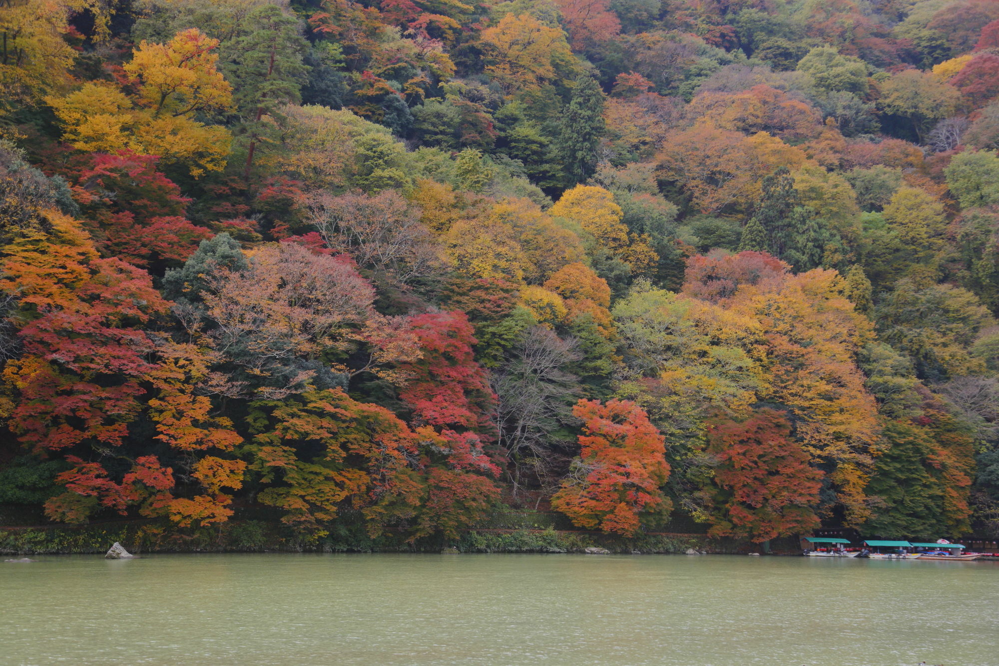 Arashiyama Benkei 5*