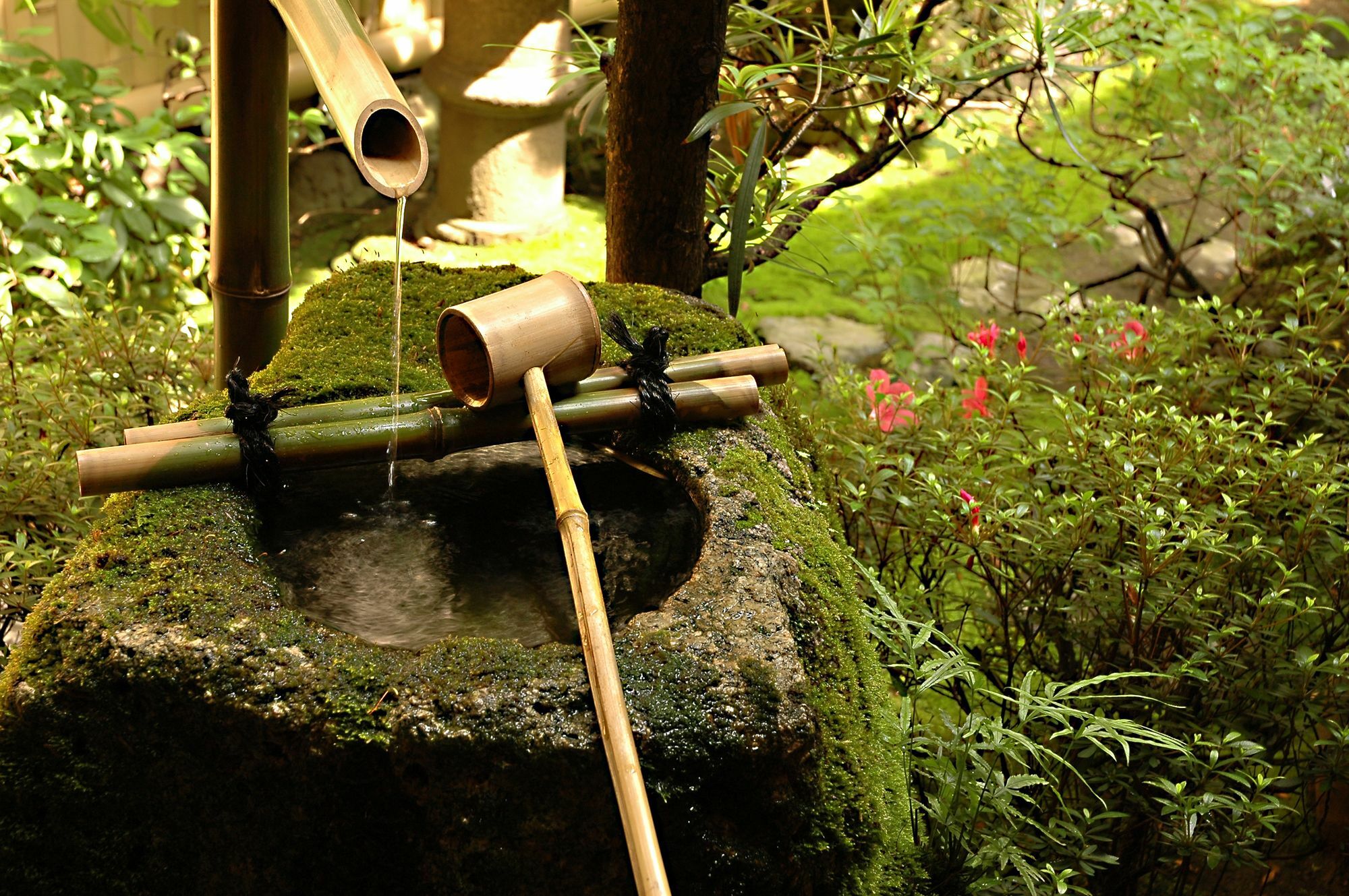 Ryokan Motonago
