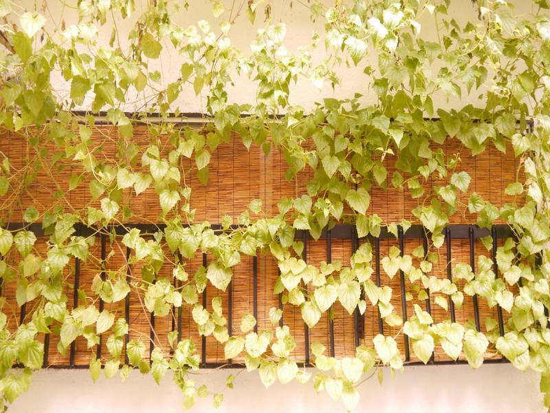 Serendipity At Kyoto Holiday home Kyoto