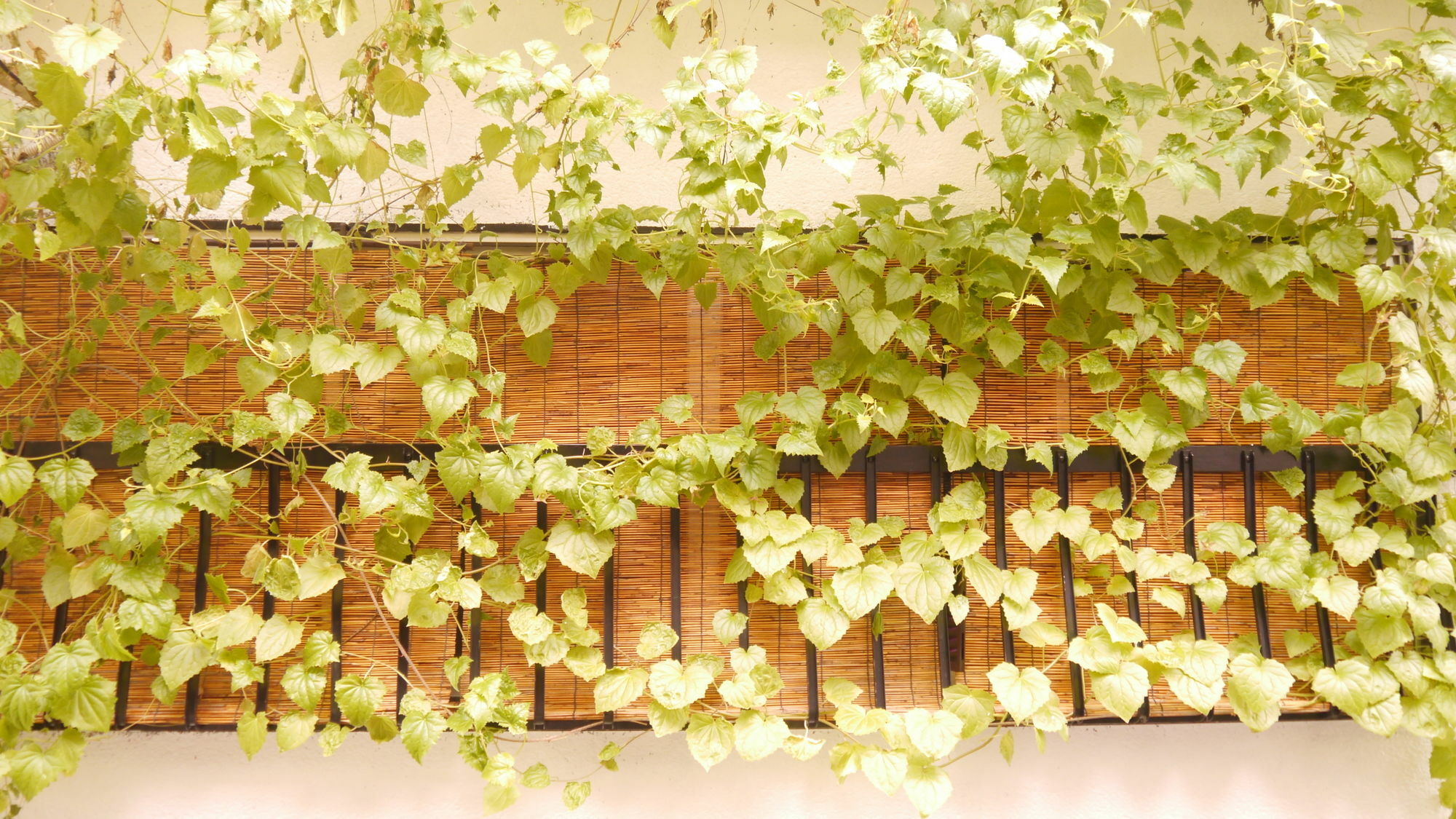 Holiday home Serendipity At Kyoto