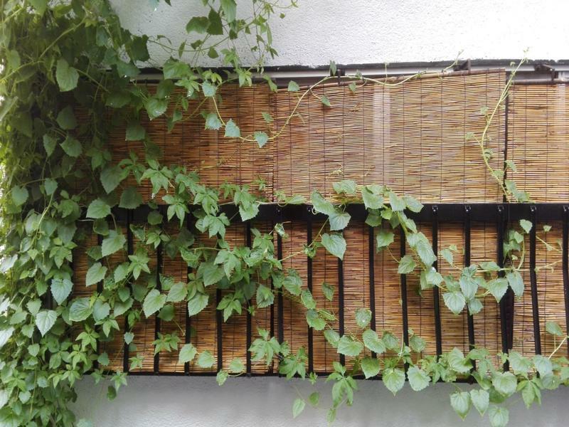 Holiday home Serendipity At Kyoto