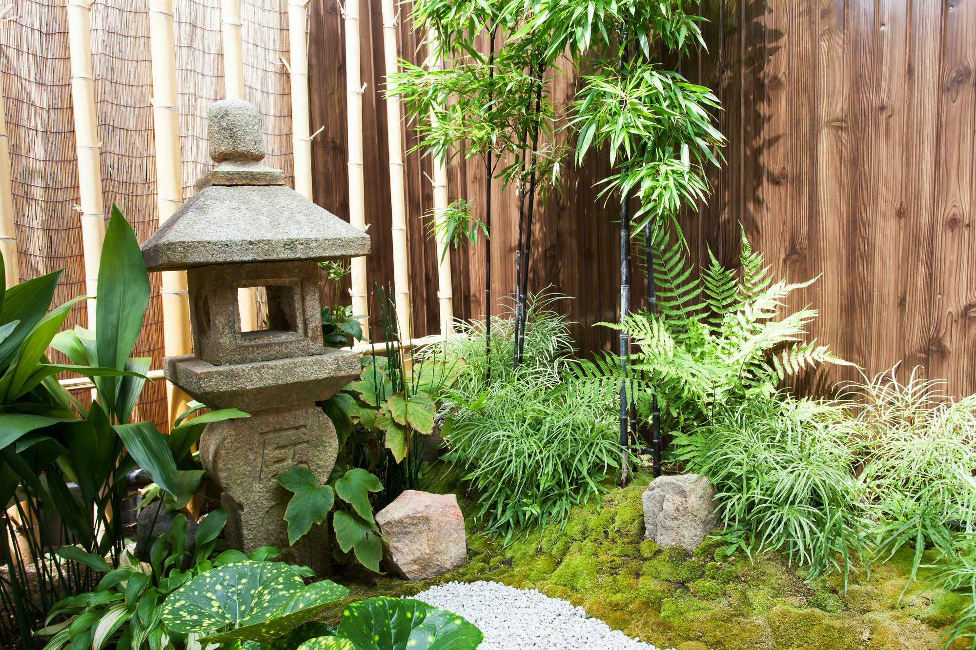 Kujo Guest house