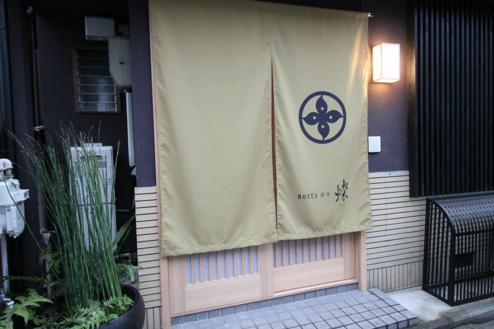 Hosta Toji San