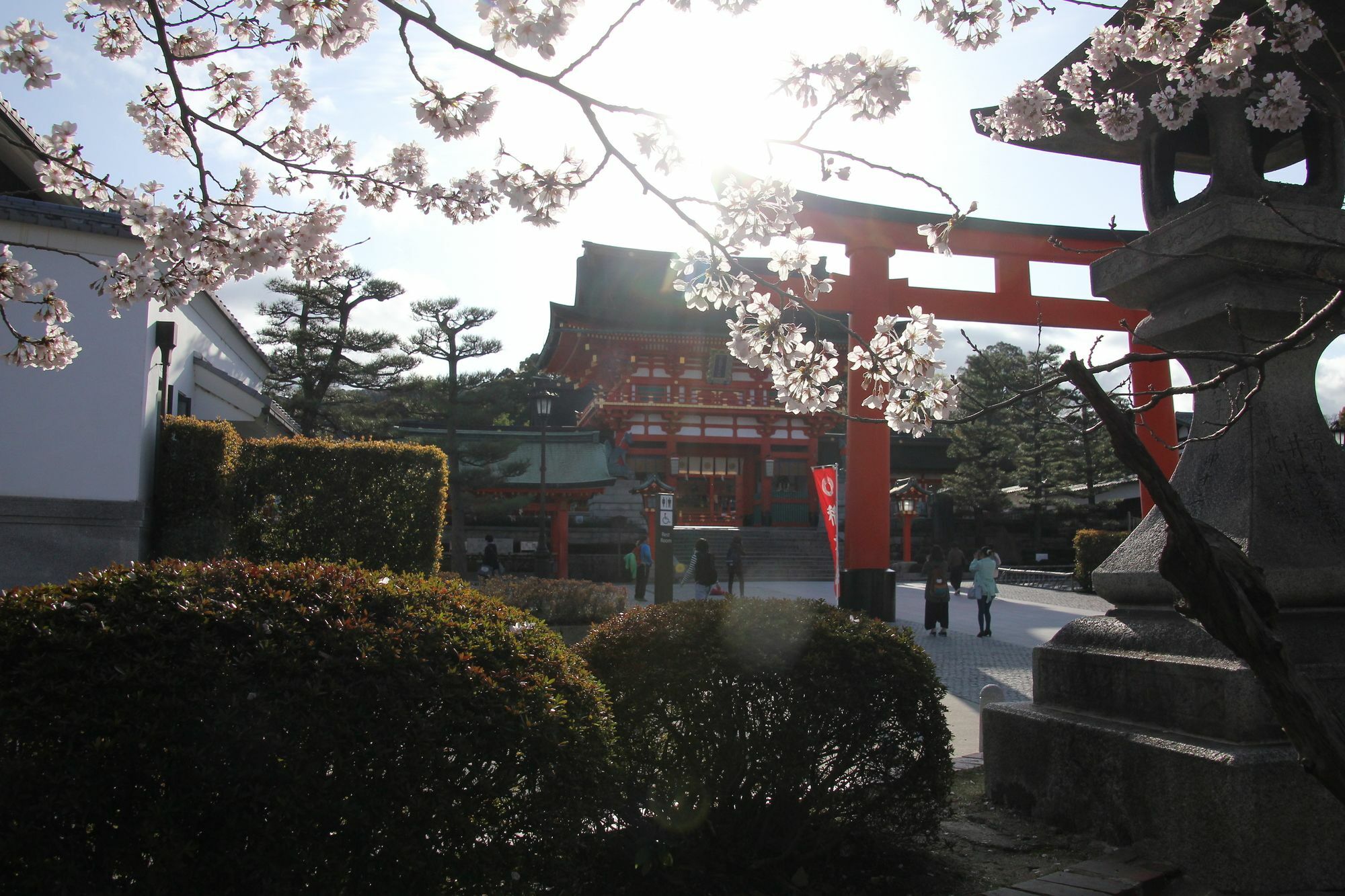 Sakura Fushimi Inari Apartment Kyoto