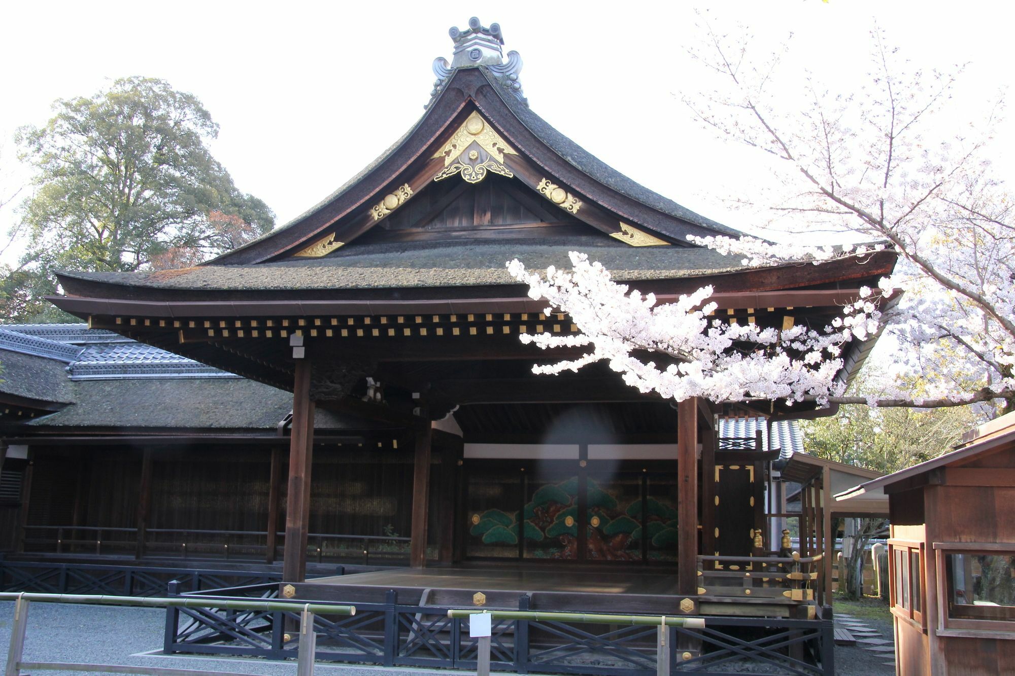 Sakura Fushimi Inari *