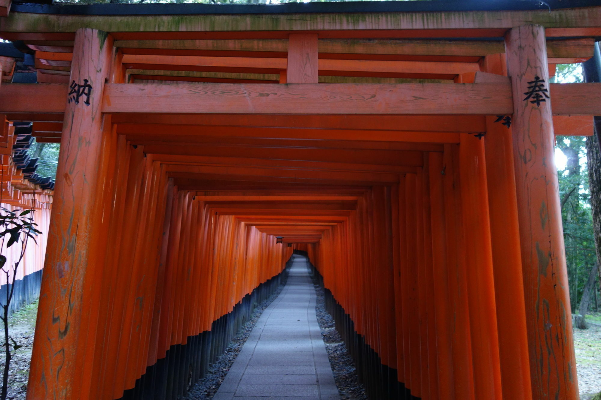 Kyo-machiya Waka Fushimiinari *