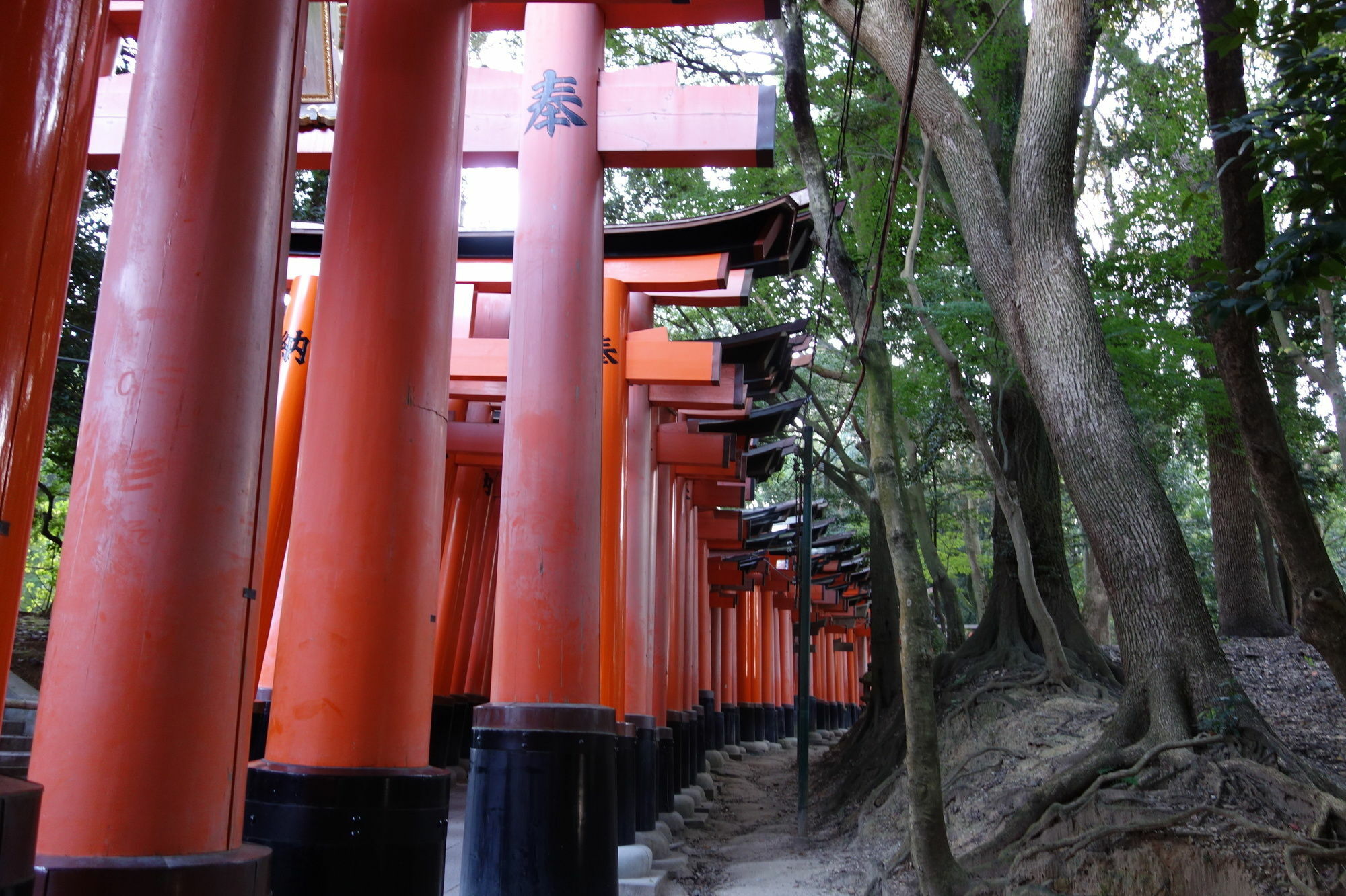 Holiday home Kyo-machiya Waka Fushimiinari *