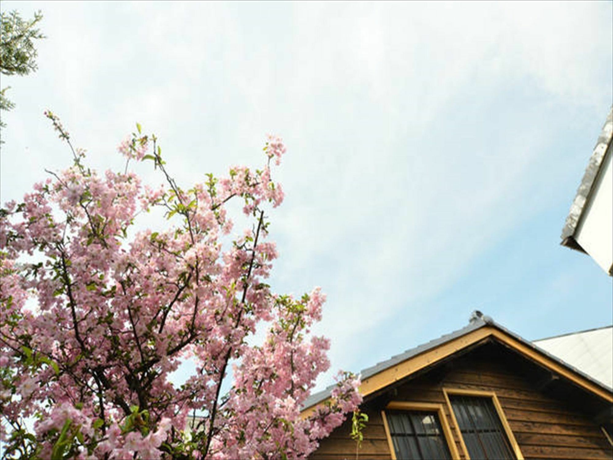 お宿梅夜guesthouse Umeya Guest house