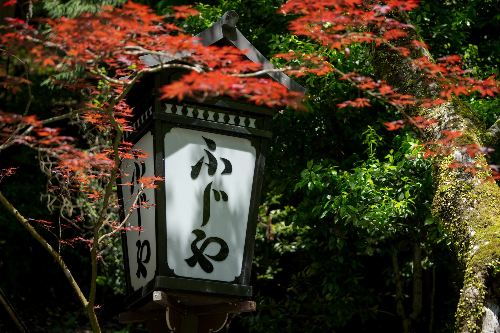 Kibune Fujiya Ryokan Kyoto