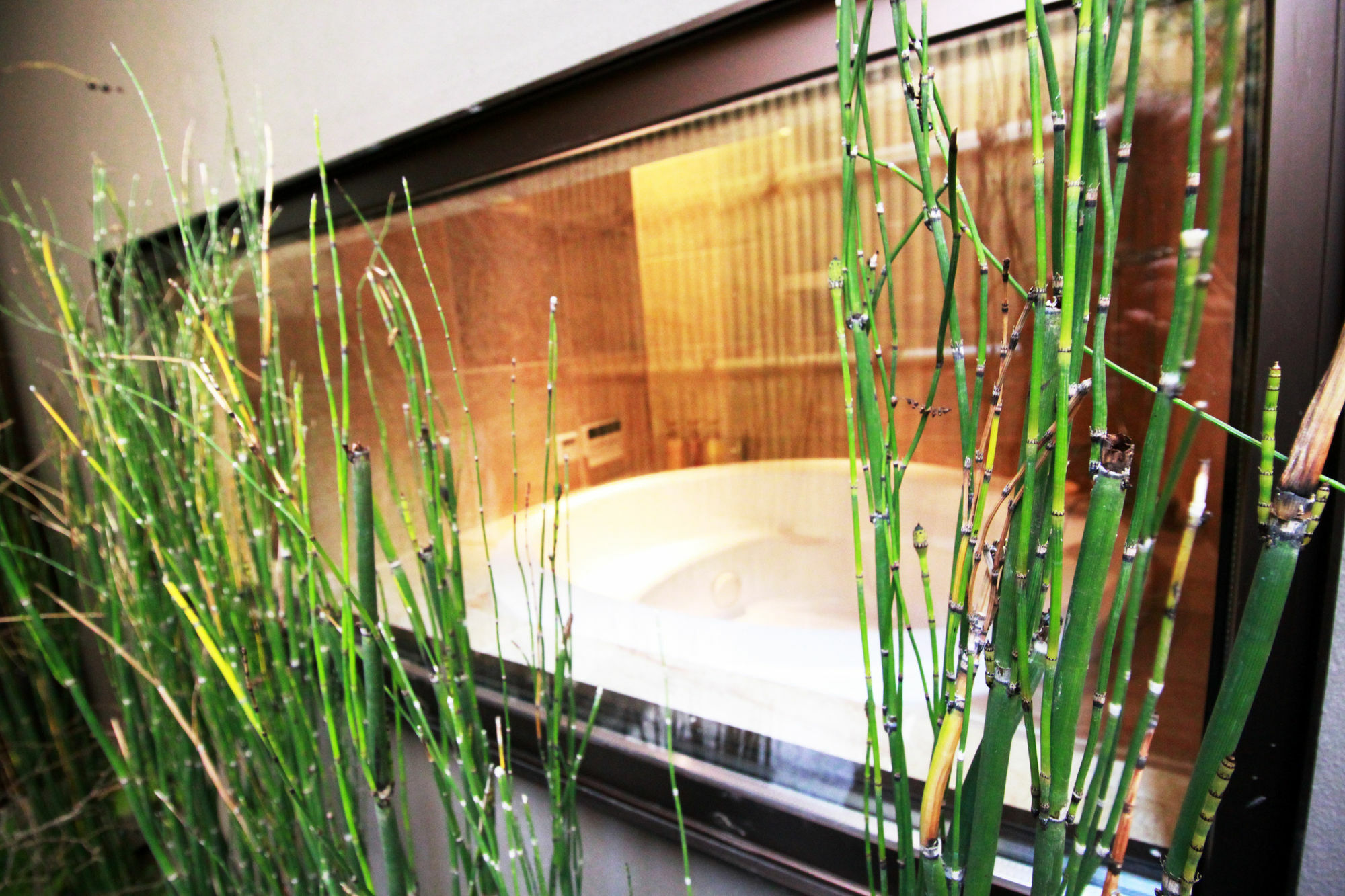 Hosta Nijo Sen Apartment Kyoto