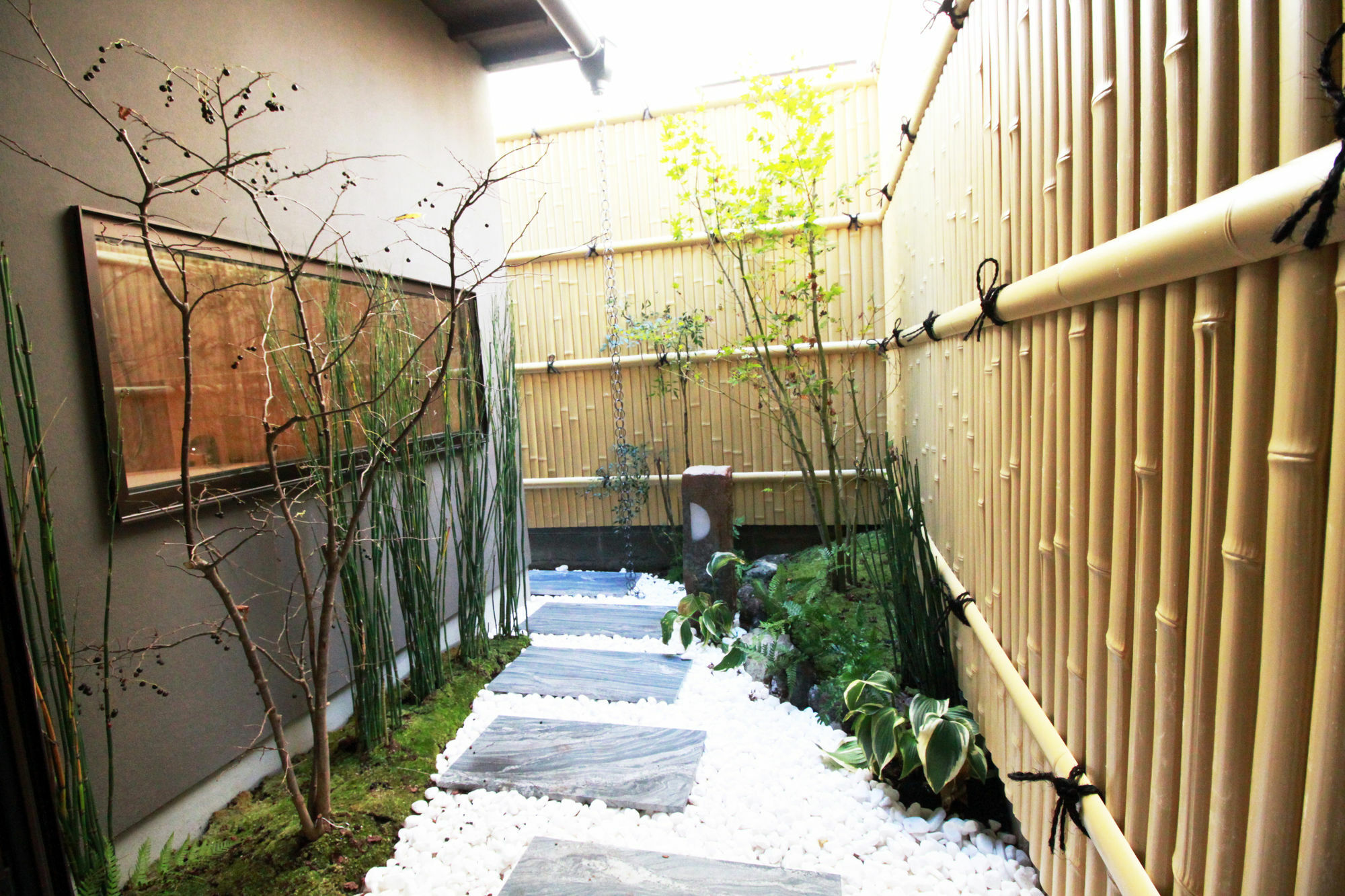 Hosta Nijo Sen * Kyoto