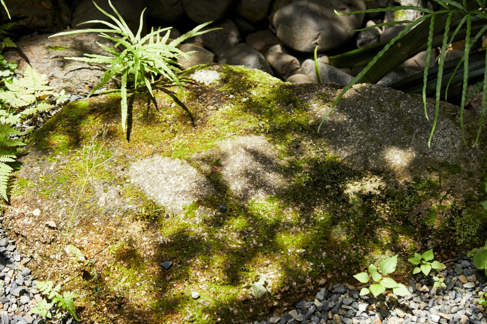 Holiday home Tachibana An Kyoto