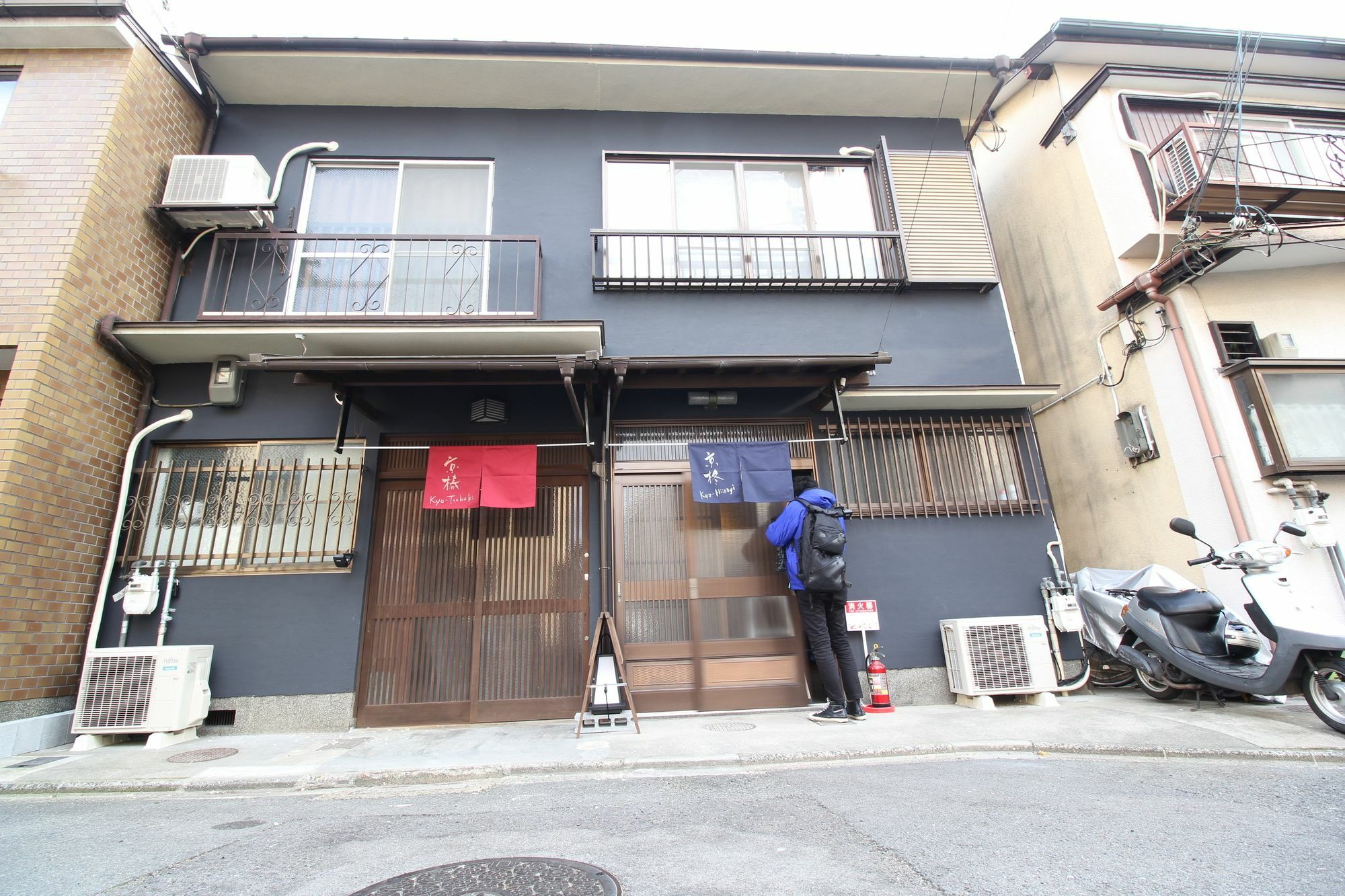 Kyo-tsubaki