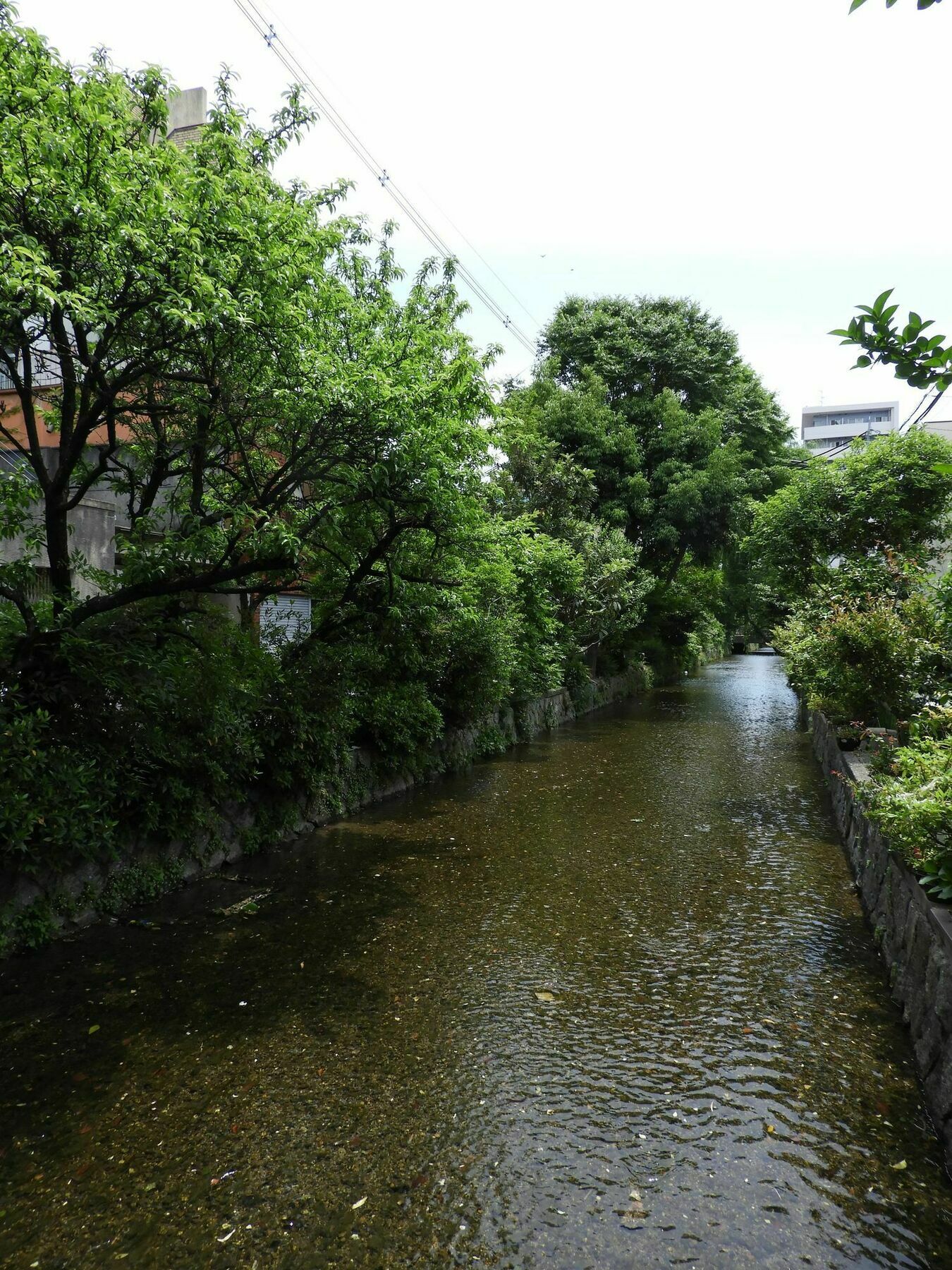 Ryokan Takasegawa Bettei
