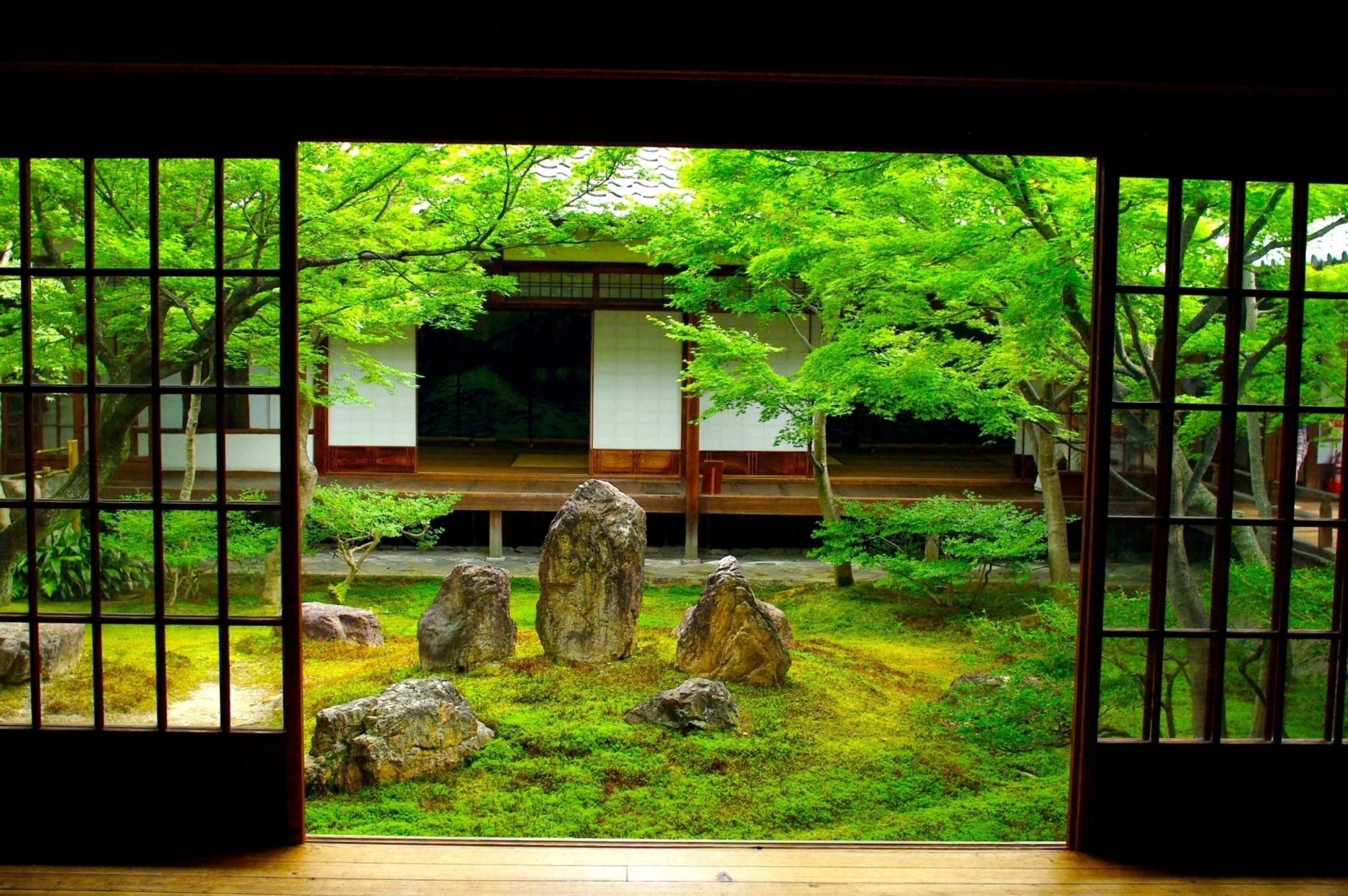 Sakura Zen