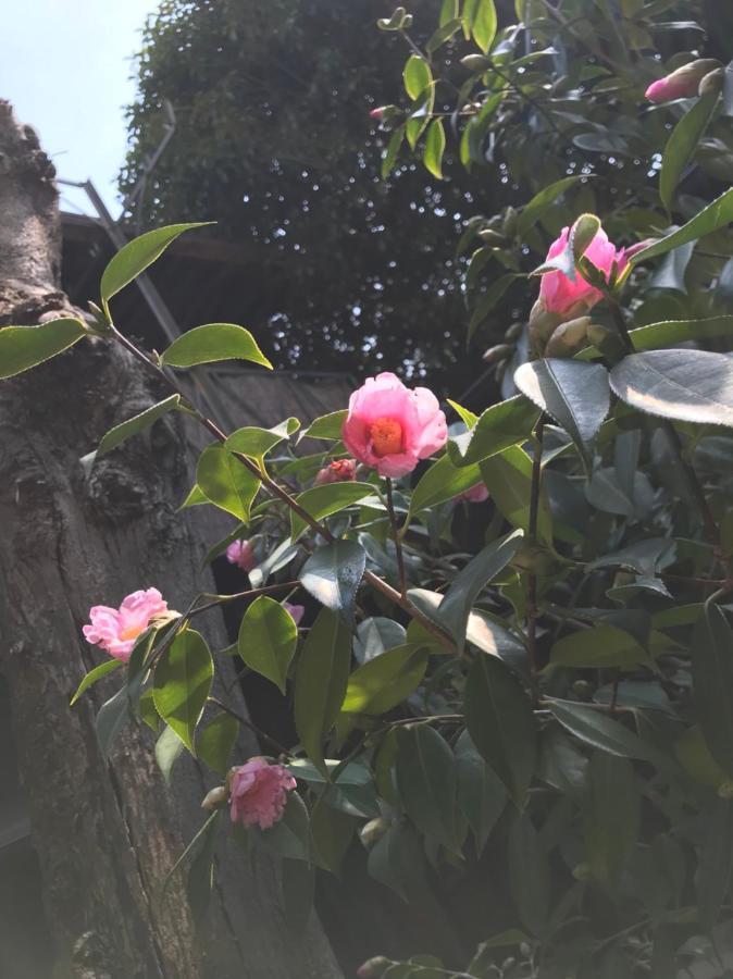 Naokonoza Bettei Fuyacho Kyoto