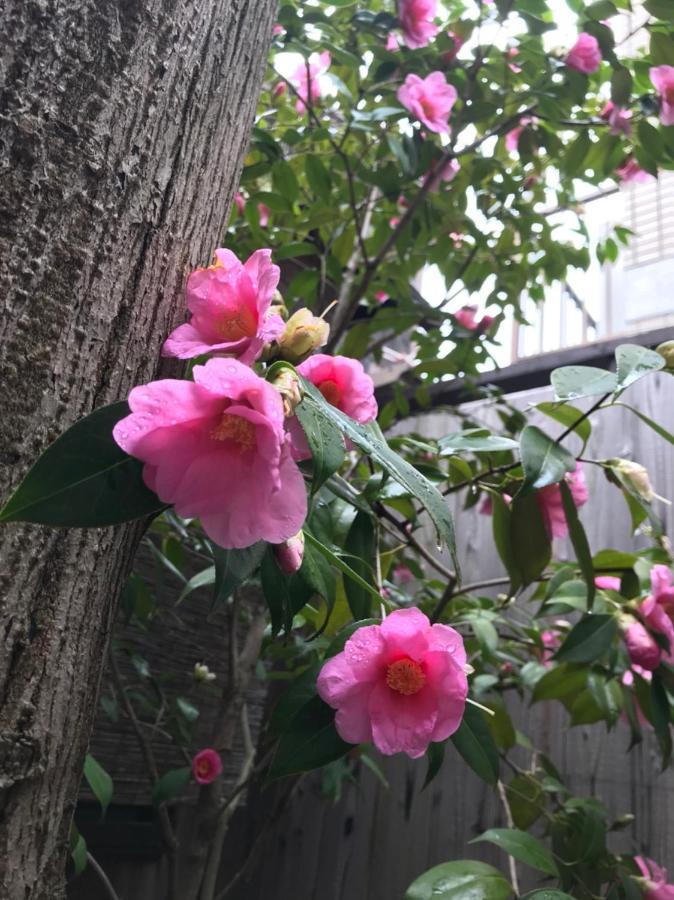 Naokonoza Bettei Fuyacho