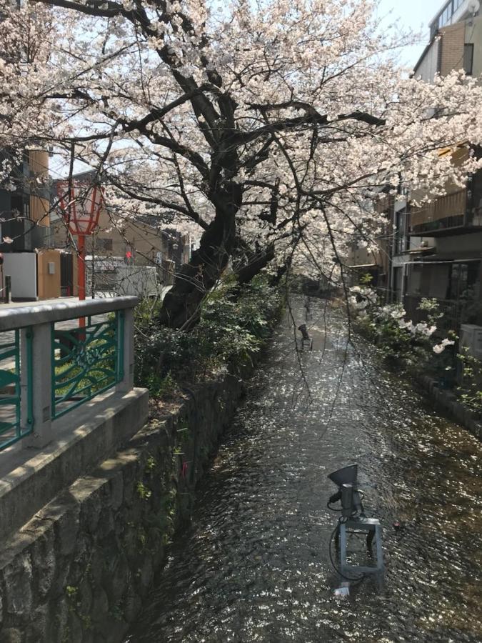 Naokonoza Bettei Fuyacho *