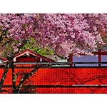 River Side Arashiyama - Vacation Stay 86216V