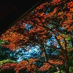 京都傳統古民宅 日式庭園 5房2衛浴 吉田神社旁 可停車 哲學之道 銀閣寺車程5分