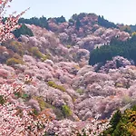Marufukuro