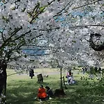 Konayuki Inn Machiya 粉雪の宿 5Min Walk From Kyoto St