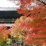 Nanako House