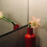 Bijuu