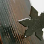 Ninja House