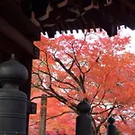 My Kyoto Pied A Terre Ninoan