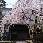 京町家の宿 十六夜- Staff滞在型