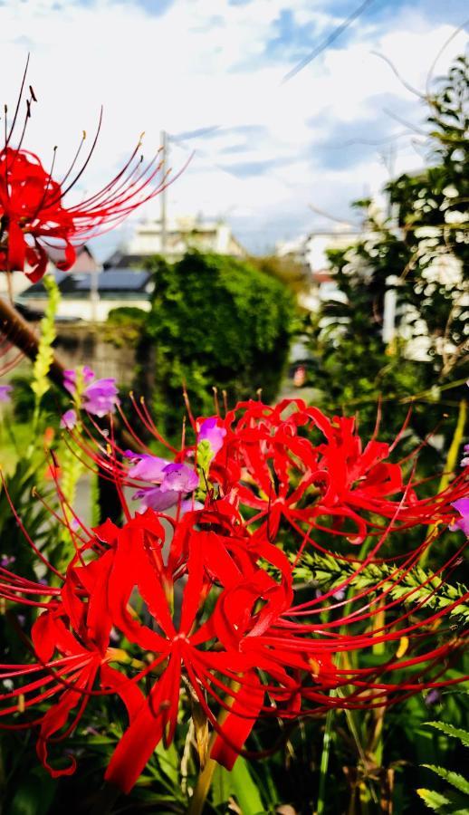 Guest house 小川旅馆 Ogawa 小川ゲストハウス